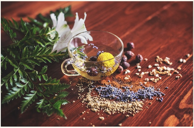 Phytotherapy