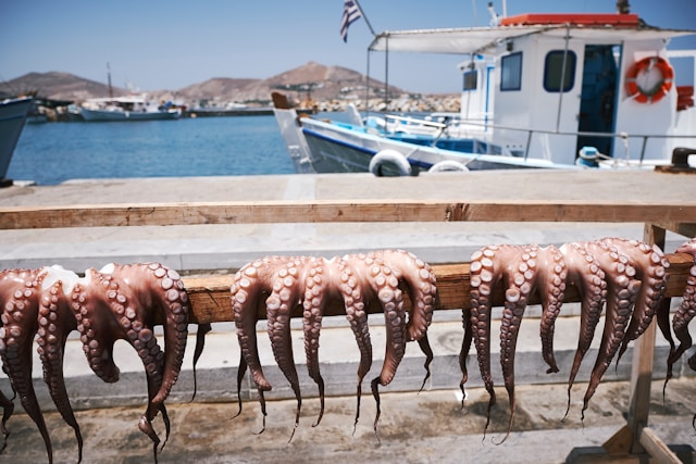 Greek culinary experience