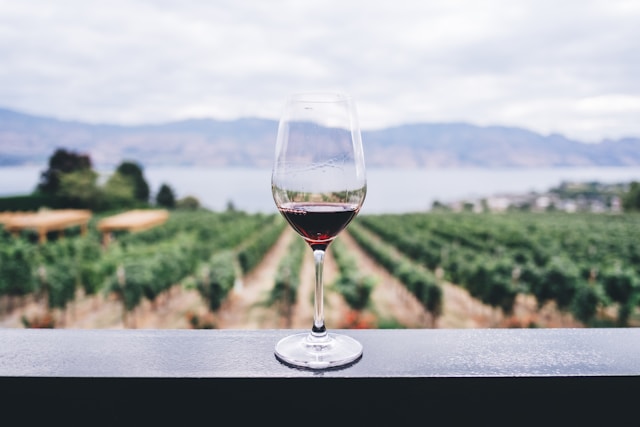 Oenology